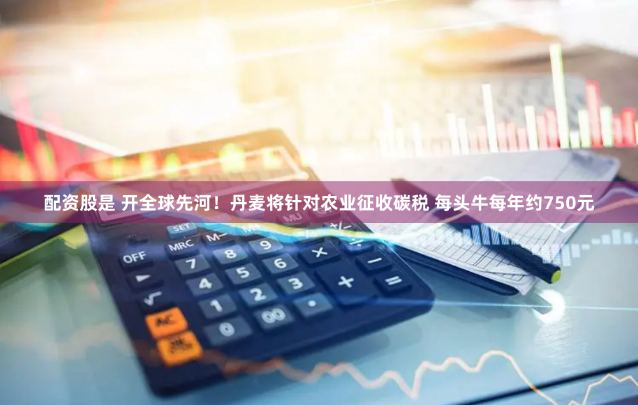 配资股是 开全球先河!丹麦将针对农业征收碳税 每头牛每年约750元