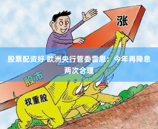股票配资好 欧洲央行管委雷恩：今年再降息两次合理
