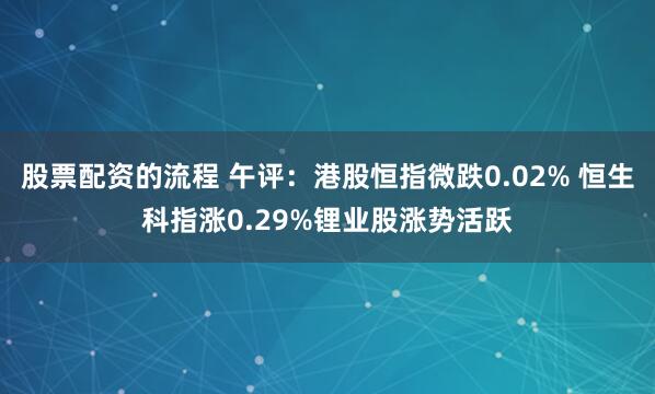 股票配资的流程 午评：港股恒指微跌0.02% 恒生科指涨0.29%锂业股涨势活跃