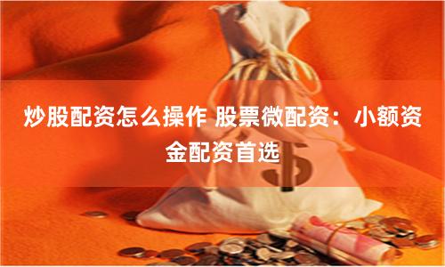 炒股配资怎么操作 股票微配资:小额资金配资首选